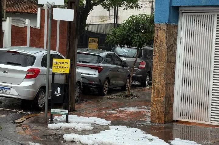 Galeria de Imagem