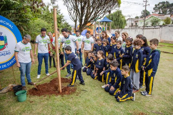 Estudantes plantam árvores frutíferas e transformam aprendizado em cuidado com o meio ambiente