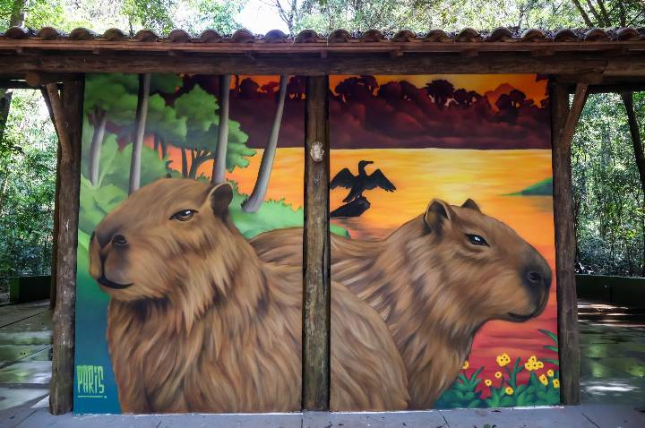 Projeto ‘Biodiversidade em cores’ leva arte e conscientização ao Parque do Ingá