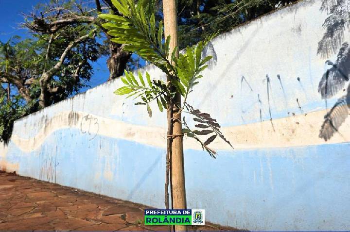 Galeria de Imagem
