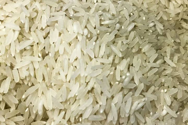 Terremoto: Brasil doará 10 toneladas de arroz à Colômbia