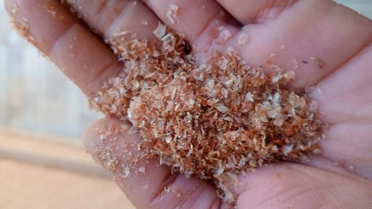 Câmara cobra providências sobre emissão de resíduos em bairros de Apucarana