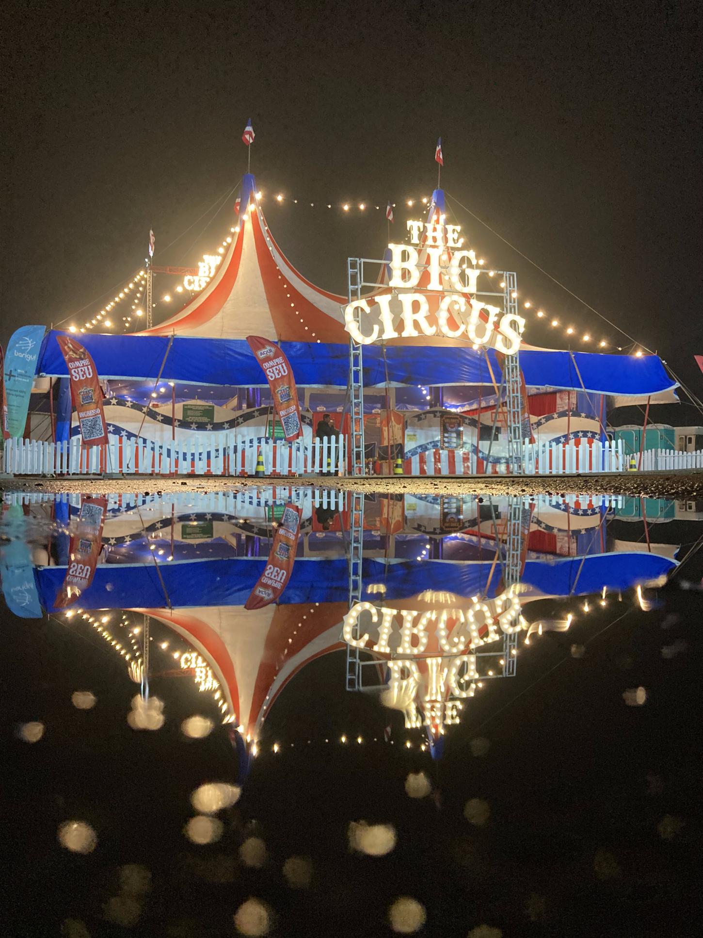 Respeitável público: O Circo Artistas paranaenses da quinta geração circense falam da vivência, desafios e encantos do circo