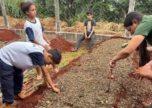 Alunos da Escola César Lattes de Jandaia do Sul criam horta escolar em parceria com a Itaipu Binacional