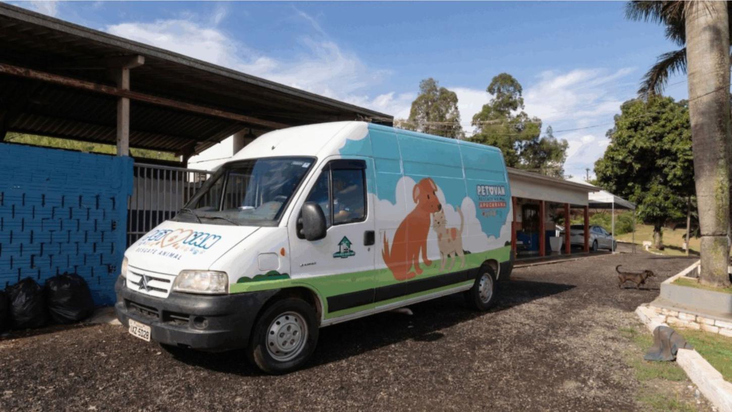 Cemsa orienta motoristas sobre conduta correta e responsabilidade legal em atropelamentos de animais
